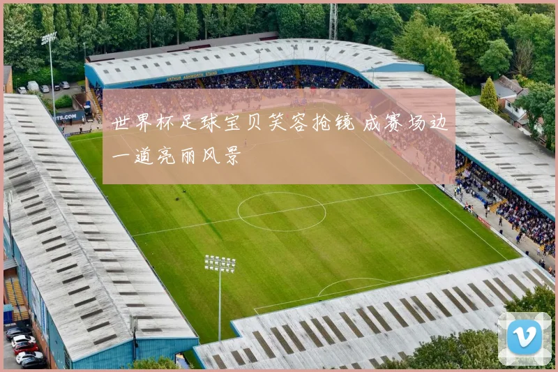 世界杯足球宝贝笑容抢镜 成赛场边一道亮丽风景